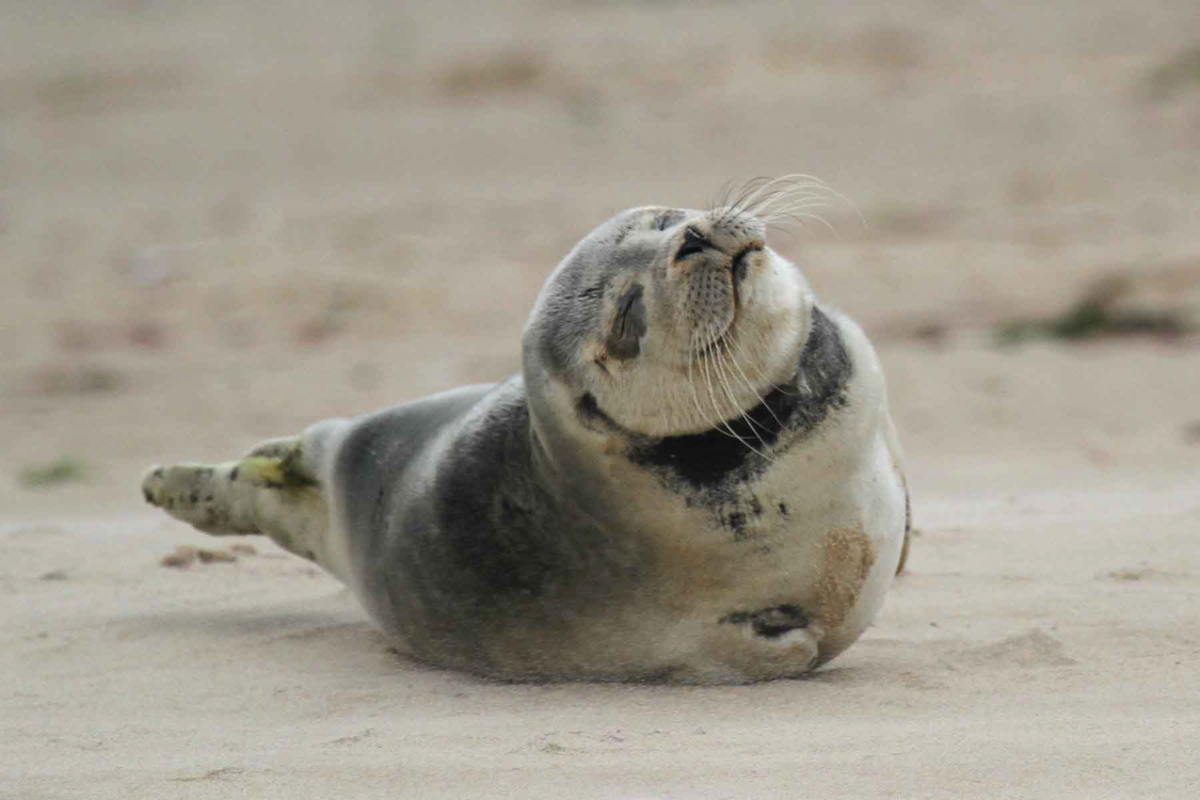 bishop boat seal trips