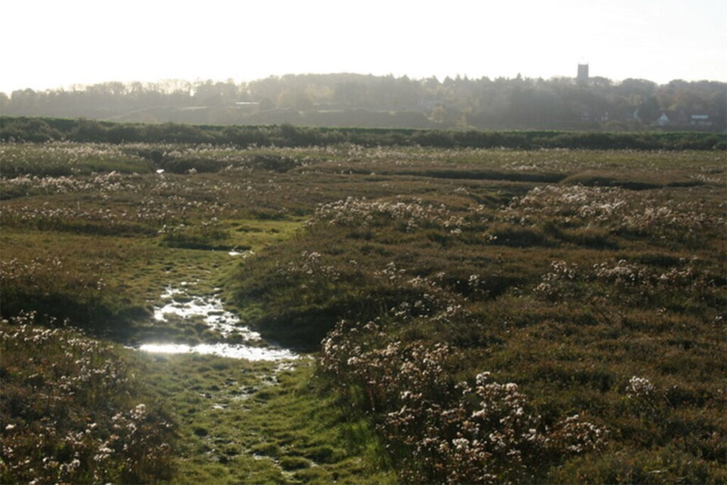 Blakeney marsh facing Blakeney - photo credit Katy Walters