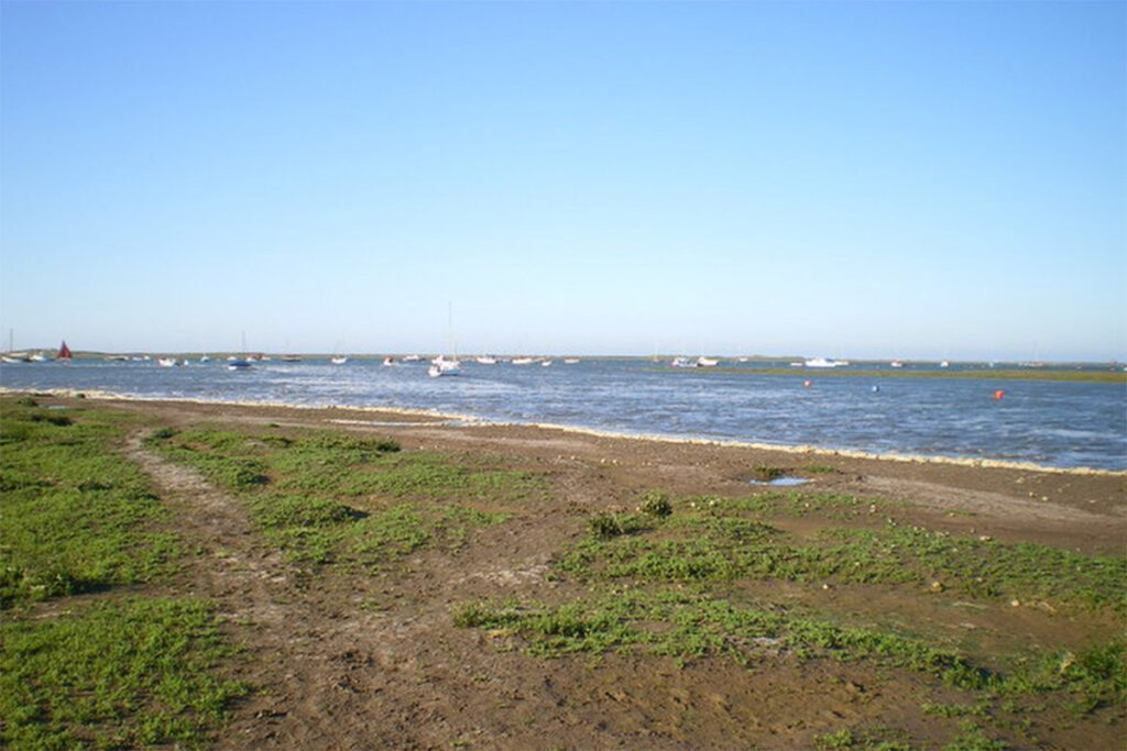 Blakeney Samphire by Richard Law